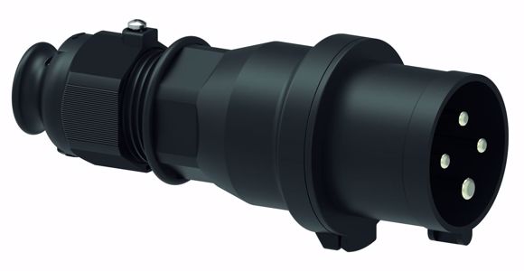 fo210707.JPG